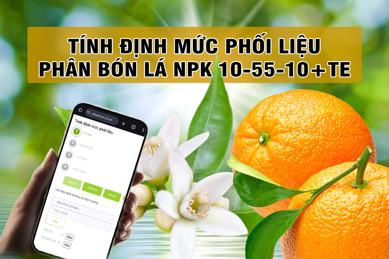 Phân bón lá NPK 10-55-10+TE - Cách tính lượng nguyên liệu phối trộn